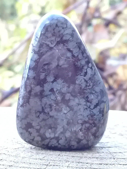 Bronzite de Birmanie pierre roulée Grade A++++ Bronzite de Birmanie pierre roulée