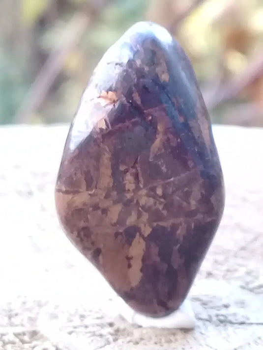 Bronzite de Birmanie pierre roulée Grade A++++ Bronzite de Birmanie pierre roulée