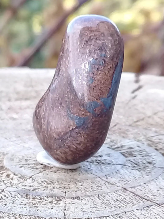 Bronzite de Birmanie pierre roulée Grade A++++ Bronzite de Birmanie pierre roulée