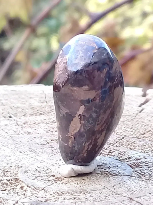 Bronzite de Birmanie pierre roulée Grade A++++ Bronzite de Birmanie pierre roulée