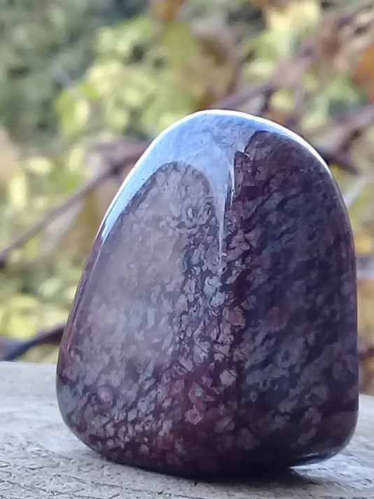 Bronzite de Birmanie pierre roulée Grade A++++ Bronzite de Birmanie pierre roulée