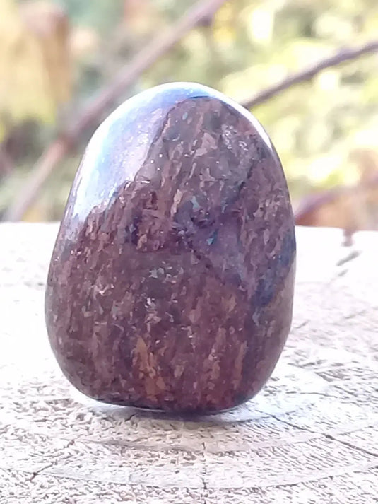 Bronzite de Birmanie pierre roulée Grade A++++ Bronzite de Birmanie pierre roulée