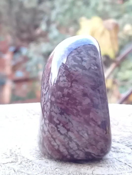 Bronzite de Birmanie pierre roulée Grade A++++ Bronzite de Birmanie pierre roulée