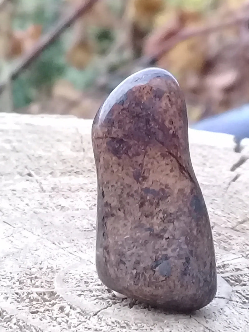 Chargez l&#39;image dans la visionneuse de la galerie, Bronzite de Birmanie pierre roulée Grade A++++ Bronzite de Birmanie pierre roulée Dans la besace du p&#39;tit Poucet   
