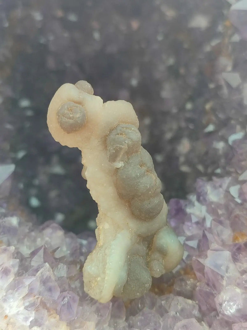 Load image into Gallery viewer, Calcédoine noire Botryoïdale de Manakarra Indonésie -Pierre brute - Grade Prémium Calcédoine noire Botryoïdale
