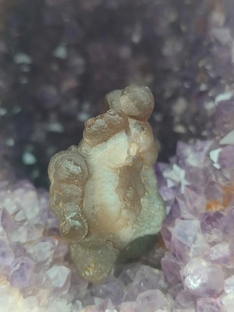 Load image into Gallery viewer, Calcédoine noire Botryoïdale de Manakarra Indonésie -Pierre brute - Grade Prémium Calcédoine noire Botryoïdale
