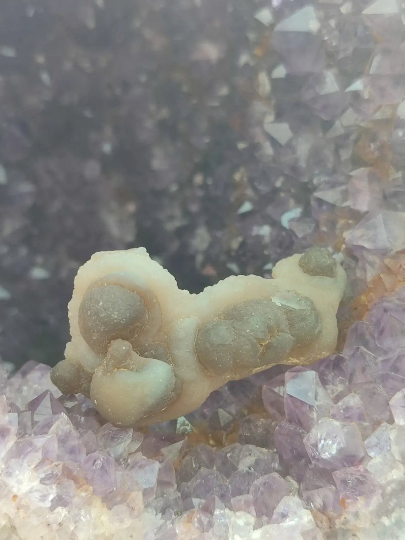 Load image into Gallery viewer, Calcédoine noire Botryoïdale de Manakarra Indonésie -Pierre brute - Grade Prémium Calcédoine noire Botryoïdale
