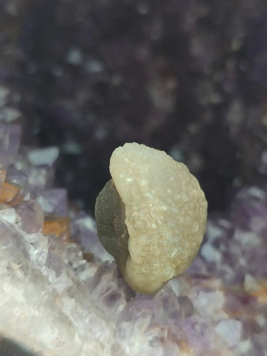 Calcédoine noire Botryoïdale de Manakarra Indonésie -Pierre brute - Grade Prémium Calcédoine noire Botryoïdale