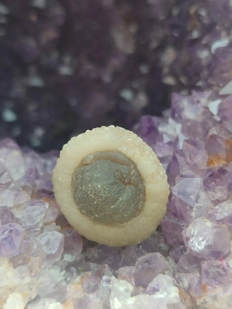 Load image into Gallery viewer, Calcédoine noire Botryoïdale de Manakarra Indonésie -Pierre brute - Grade Prémium Calcédoine noire Botryoïdale
