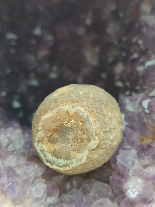 Calcédoine noire Botryoïdale de Manakarra Indonésie -Pierre brute - Grade Prémium Calcédoine noire Botryoïdale