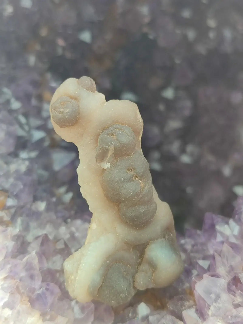 Load image into Gallery viewer, Calcédoine noire Botryoïdale de Manakarra Indonésie -Pierre brute - Grade Prémium Calcédoine noire Botryoïdale
