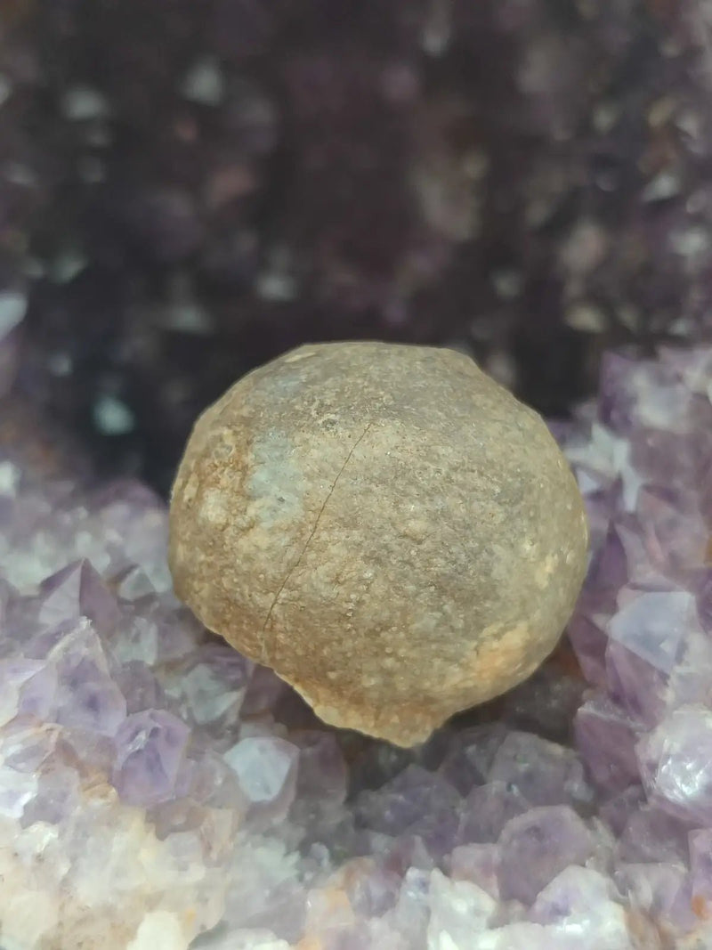 Load image into Gallery viewer, Calcédoine noire Botryoïdale de Manakarra Indonésie -Pierre brute - Grade Prémium Calcédoine noire Botryoïdale
