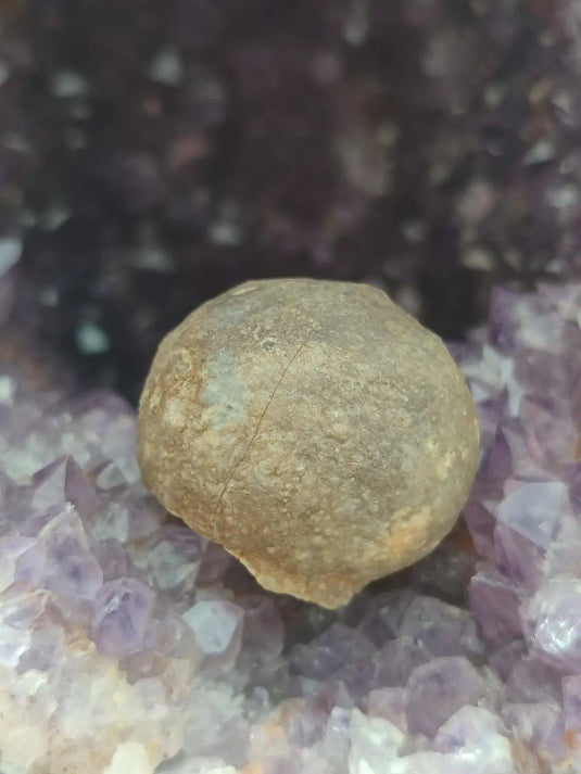 Calcédoine noire Botryoïdale de Manakarra Indonésie -Pierre brute - Grade Prémium Calcédoine noire Botryoïdale