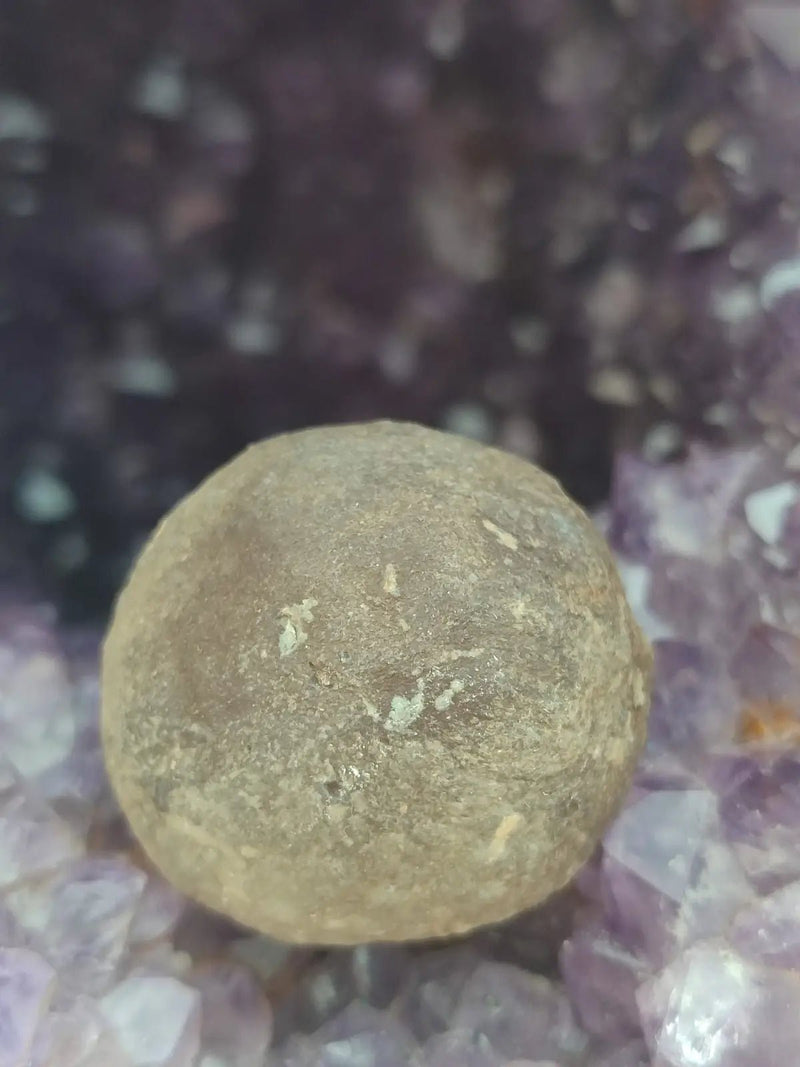 Load image into Gallery viewer, Calcédoine noire Botryoïdale de Manakarra Indonésie -Pierre brute - Grade Prémium Calcédoine noire Botryoïdale
