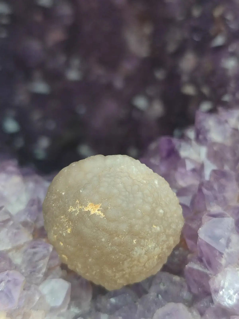 Load image into Gallery viewer, Calcédoine noire Botryoïdale de Manakarra Indonésie -Pierre brute - Grade Prémium Calcédoine noire Botryoïdale
