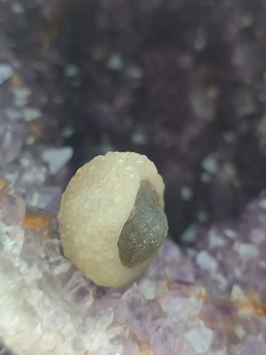 Calcédoine noire Botryoïdale de Manakarra Indonésie -Pierre brute - Grade Prémium Calcédoine noire Botryoïdale