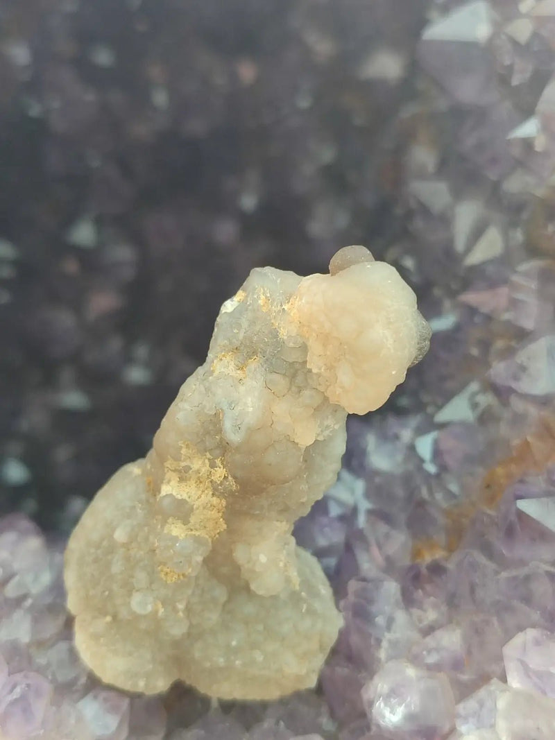 Load image into Gallery viewer, Calcédoine noire Botryoïdale de Manakarra Indonésie -Pierre brute - Grade Prémium Calcédoine noire Botryoïdale
