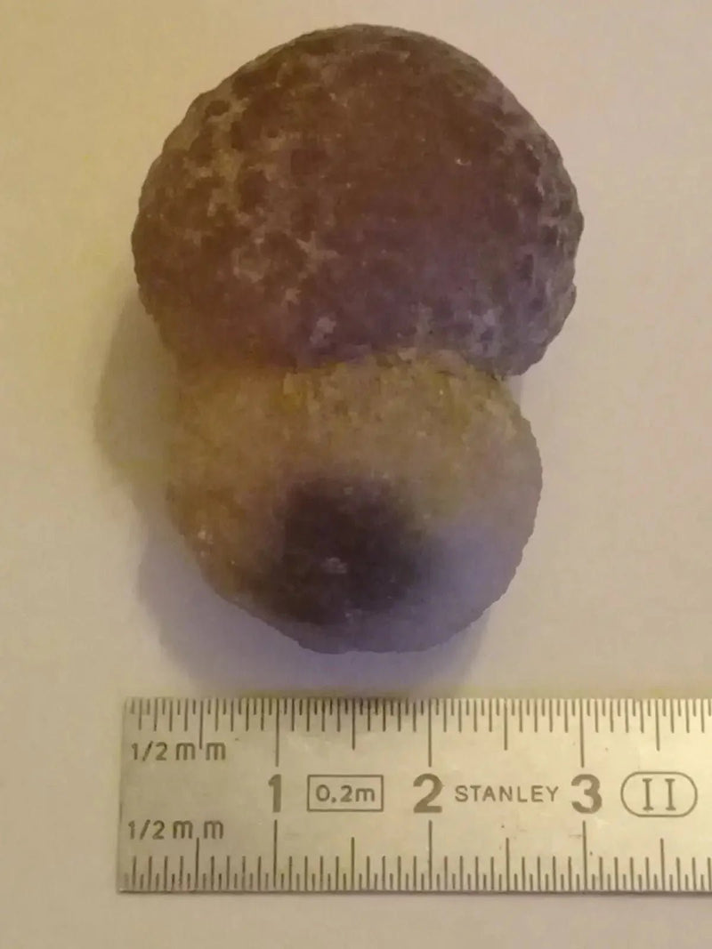 Chargez l&#39;image dans la visionneuse de la galerie, Calcédoine noire Botryoïdale ou larme de Calcédoine ’RARE’ Grade A++++ Calcédoine noire Botryoïdale
