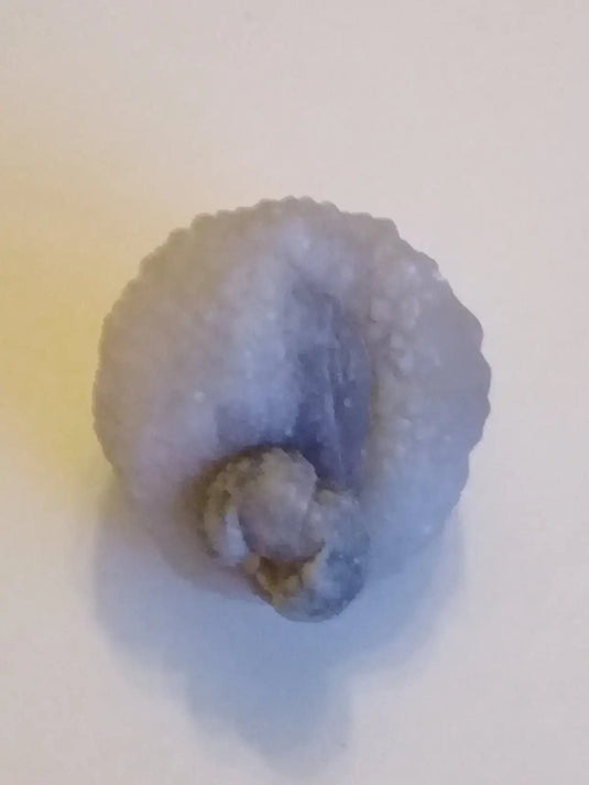 Calcédoine noire Botryoïdale ou larme de Calcédoine ’RARE’ Grade A++++ Calcédoine noire Botryoïdale