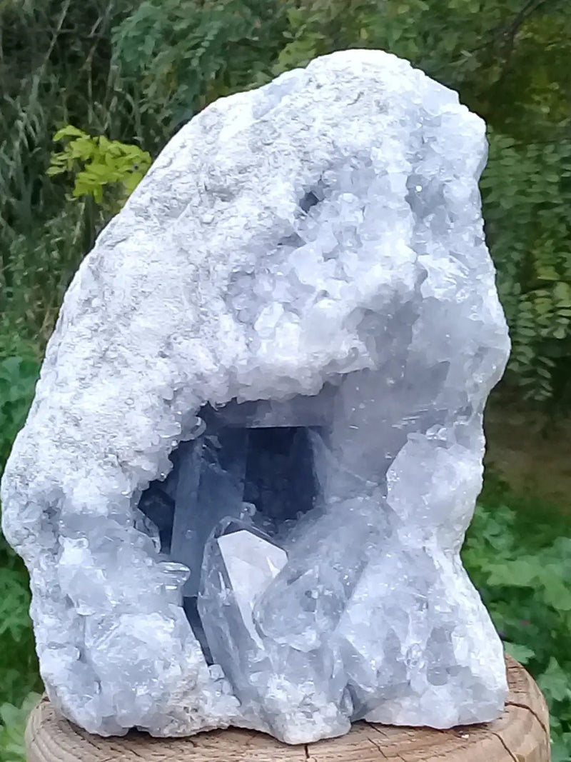 Load image into Gallery viewer, Célestine du Mexique en Géode Grade A ++++ Célestine du Mexique géode
