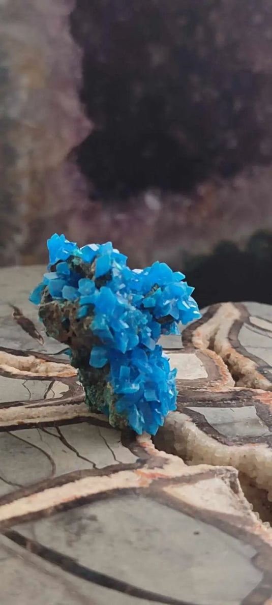 Chalcanthite de Pologne Grade A++++ Chalcanththite de Pologne