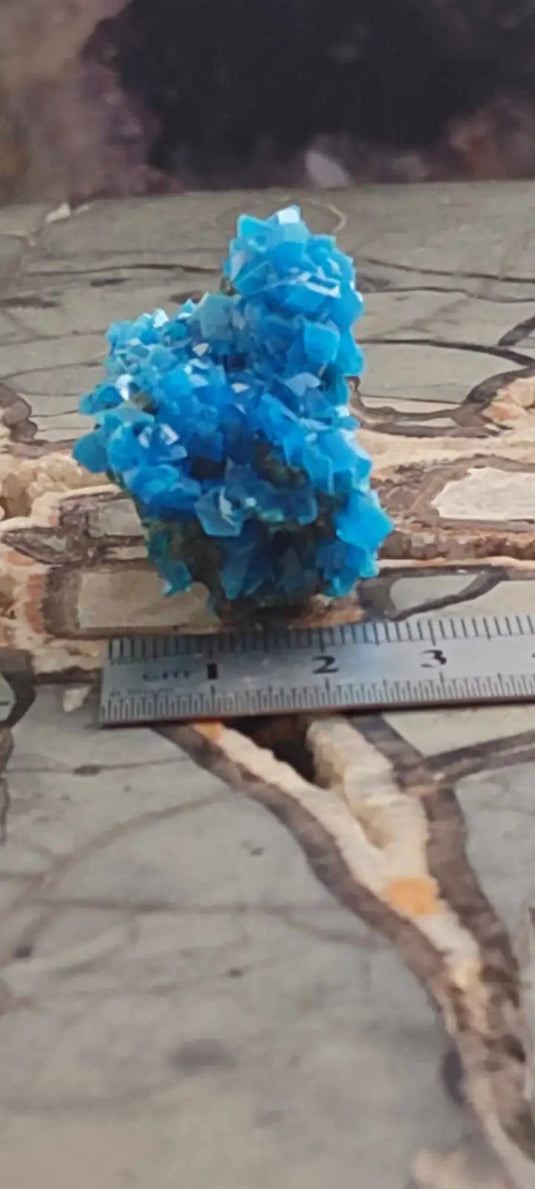 Chalcanthite de Pologne Grade A++++ Chalcanththite de Pologne