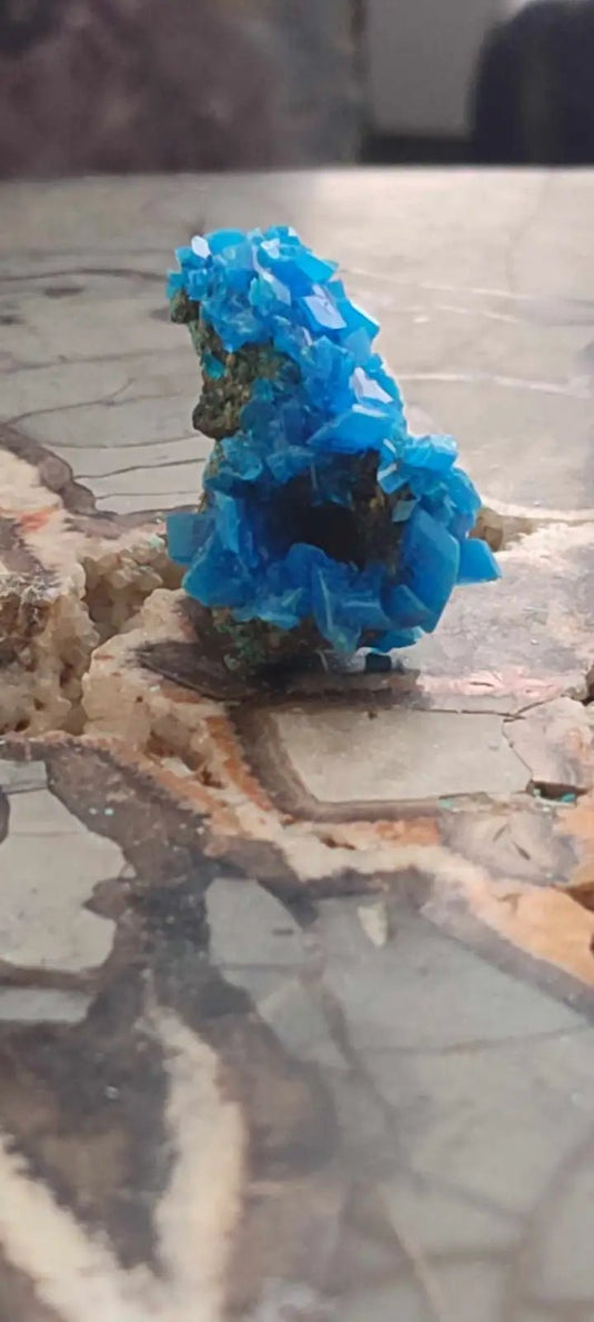 Chalcanthite de Pologne Grade A++++ Chalcanththite de Pologne