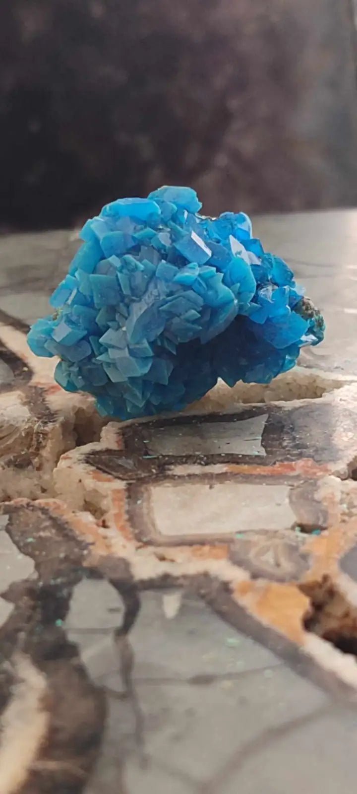 Load image into Gallery viewer, Chalcanthite de Pologne Grade A++++ Chalcanththite de Pologne
