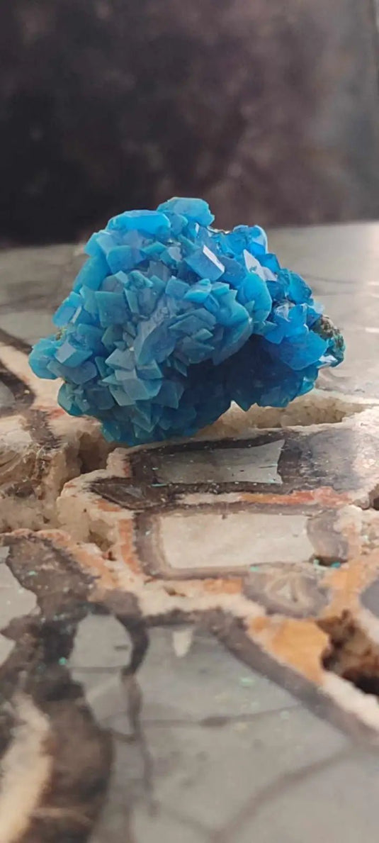 Chalcanthite de Pologne Grade A++++ Chalcanththite de Pologne