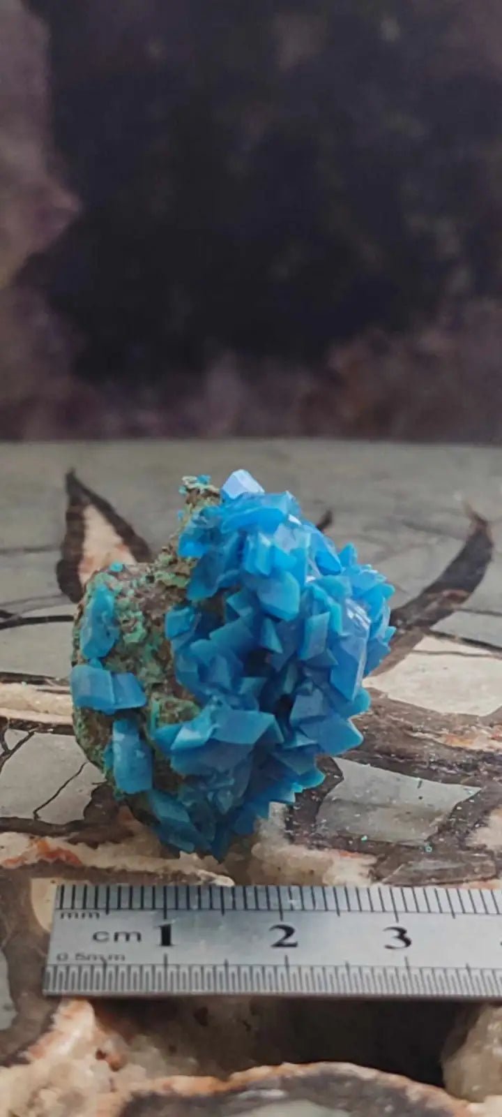 Load image into Gallery viewer, Chalcanthite de Pologne Grade A++++ Chalcanththite de Pologne
