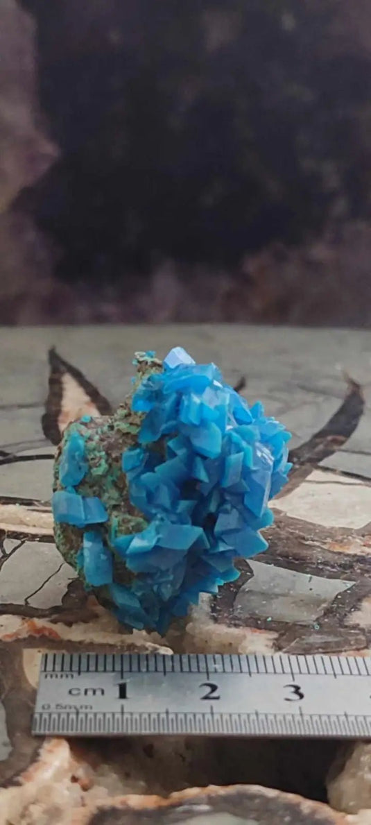 Chalcanthite de Pologne Grade A++++ Chalcanththite de Pologne