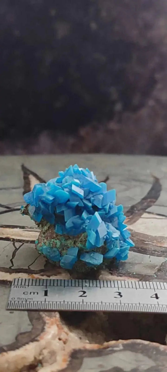 Chalcanthite de Pologne Grade A++++ Chalcanththite de Pologne