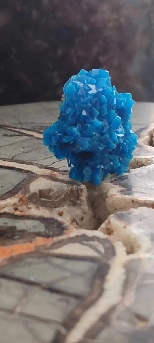 Chalcanthite de Pologne Grade A++++ Chalcanththite de Pologne