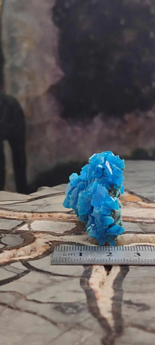 Chalcanthite de Pologne Grade A++++ Chalcanththite de Pologne