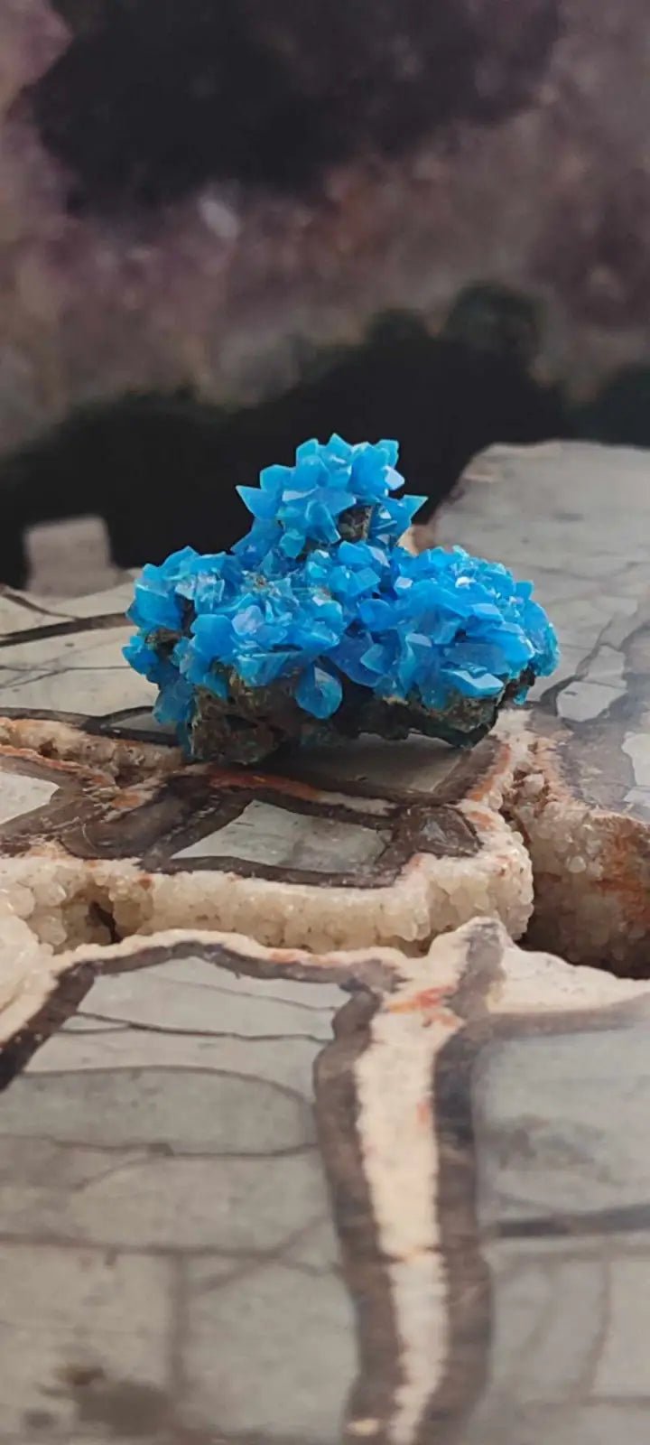 Load image into Gallery viewer, Chalcanthite de Pologne Grade A++++ Chalcanththite de Pologne
