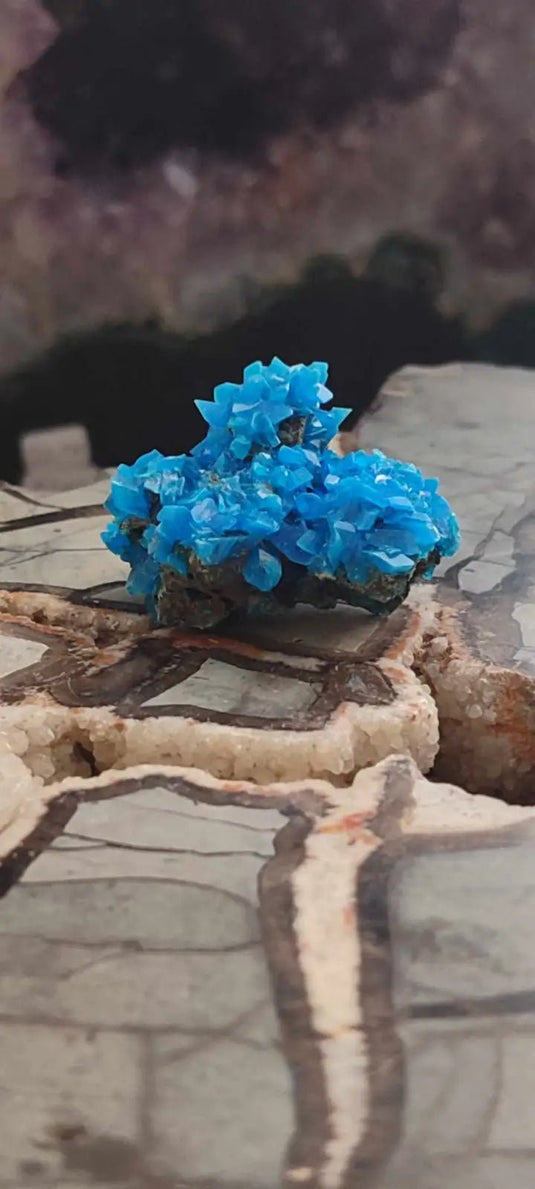 Chalcanthite de Pologne Grade A++++ Chalcanththite de Pologne