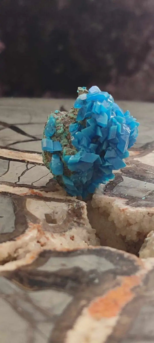 Chalcanthite de Pologne Grade A++++ Chalcanththite de Pologne