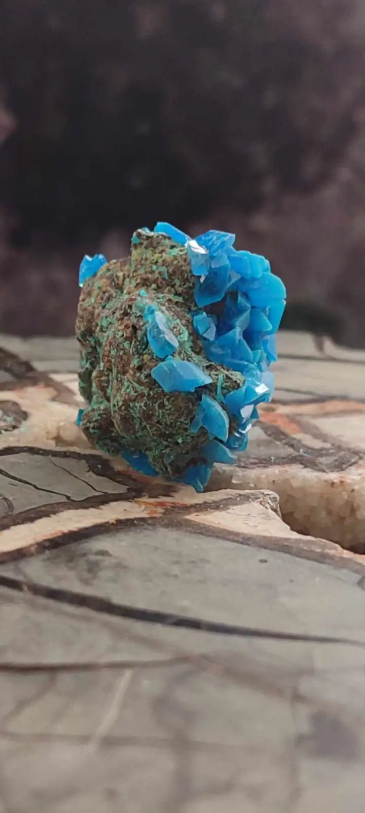 Load image into Gallery viewer, Chalcanthite de Pologne Grade A++++ Chalcanththite de Pologne
