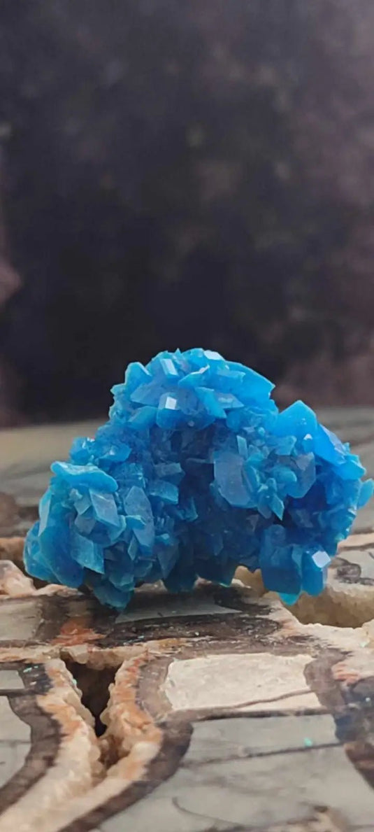 Chalcanthite de Pologne Grade A++++ Chalcanththite de Pologne