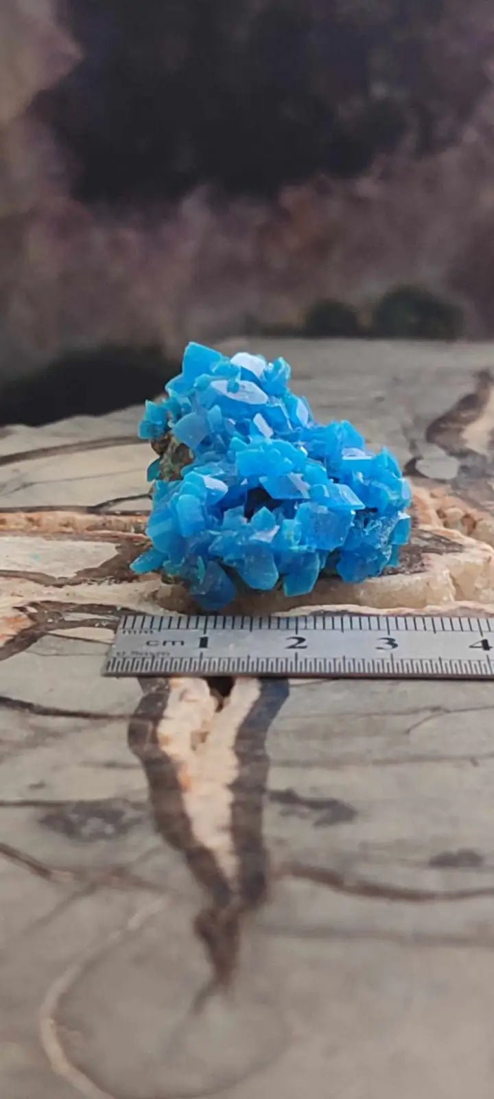 Chargez l'image dans la visionneuse de la galerie, Chalcanthite de Pologne Grade A++++ Chalcanththite de Pologne
