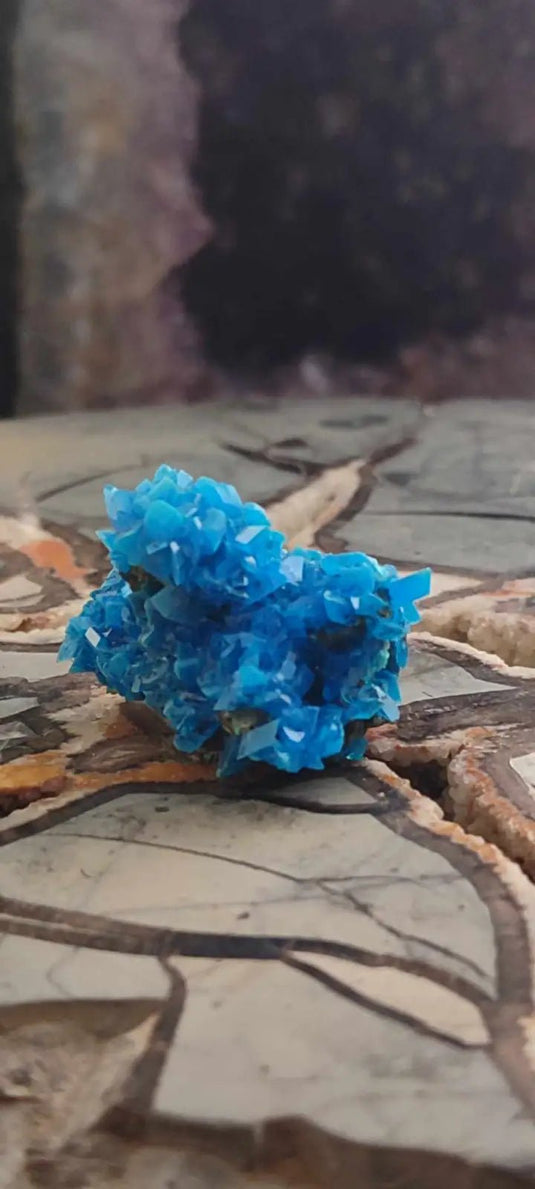 Chalcanthite de Pologne Grade A++++ Chalcanththite de Pologne