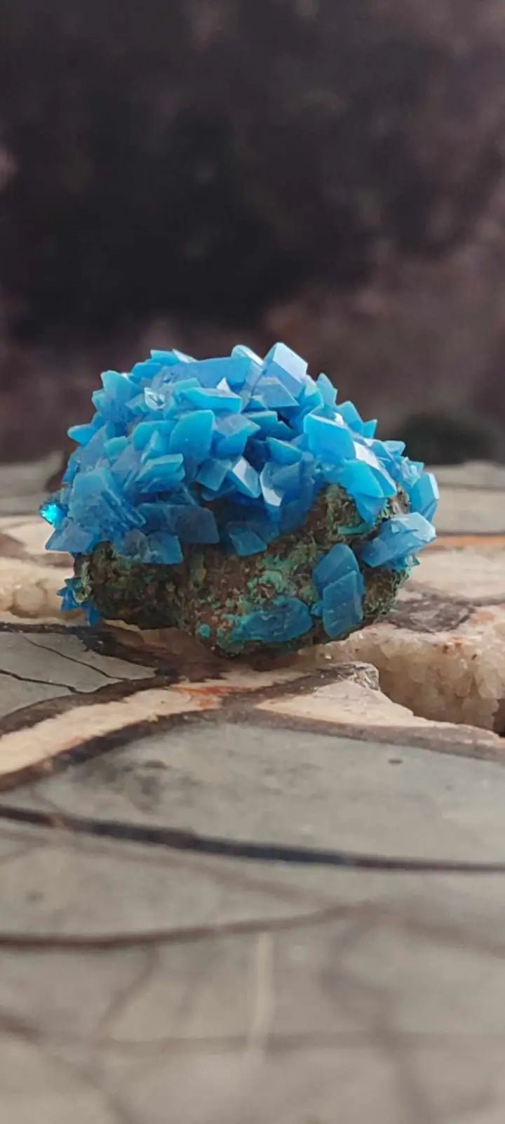 Load image into Gallery viewer, Chalcanthite de Pologne Grade A++++ Chalcanththite de Pologne
