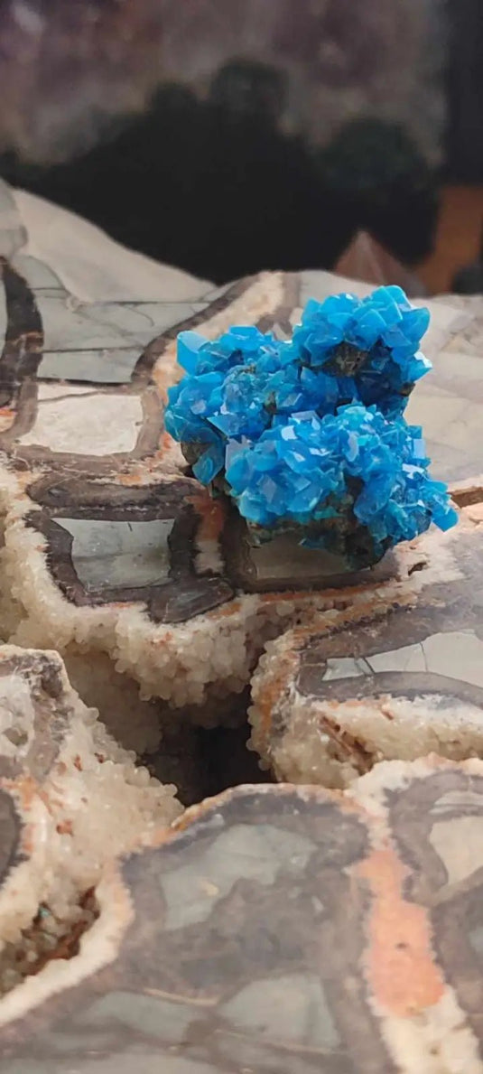 Chalcanthite de Pologne Grade A++++ Chalcanththite de Pologne