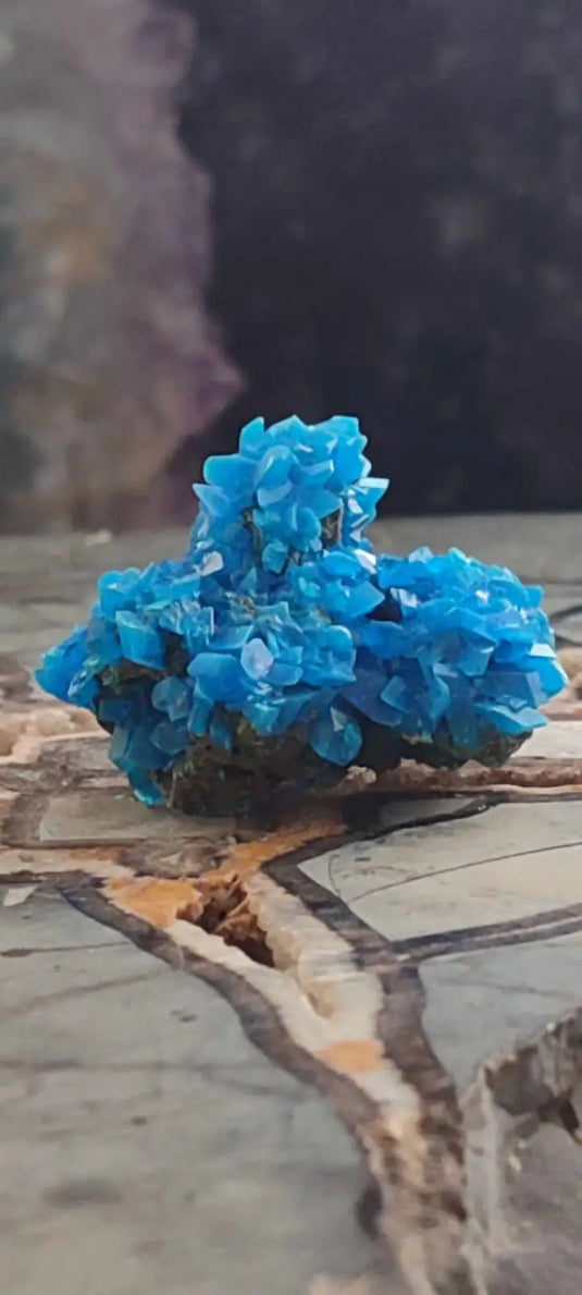 Chalcanthite de Pologne Grade A++++ Chalcanththite de Pologne