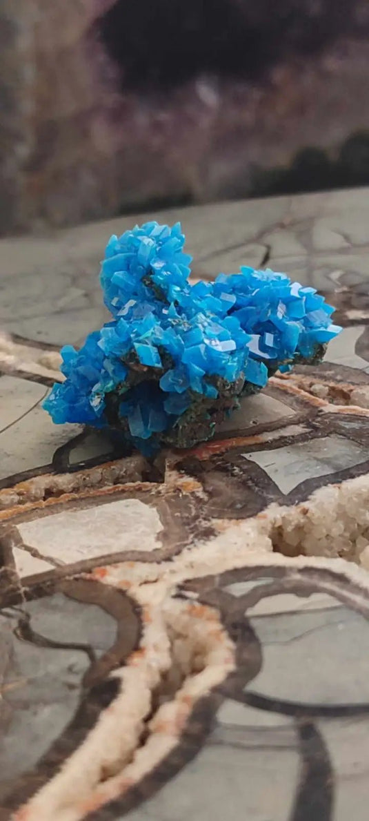 Chalcanthite de Pologne Grade A++++ Chalcanththite de Pologne