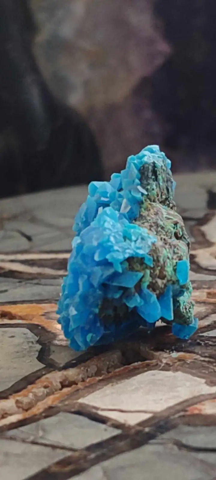 Load image into Gallery viewer, Chalcanthite de Pologne Grade A++++ Chalcanthite de Pologne
