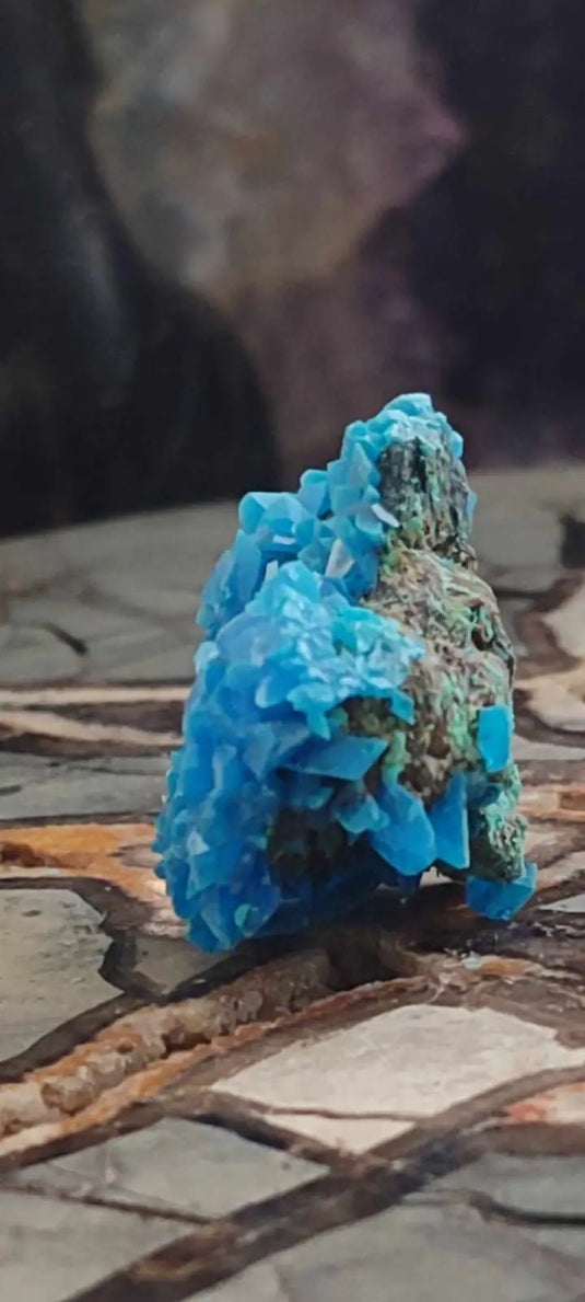 Chalcanthite de Pologne Grade A++++ Chalcanthite de Pologne