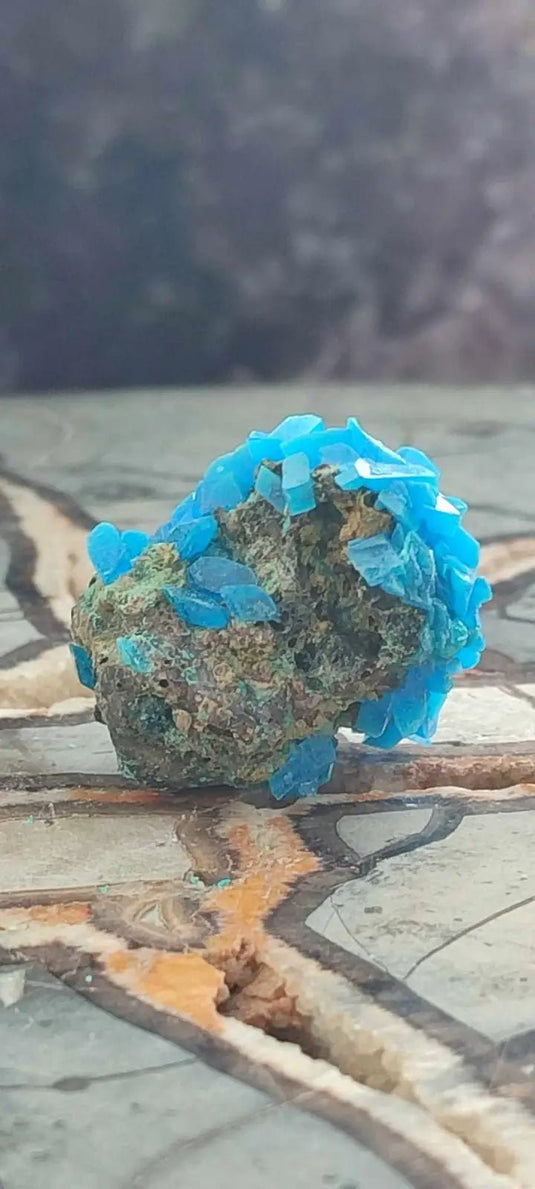 Chalcanthite de Pologne Grade A++++ Chalcanthite de Pologne