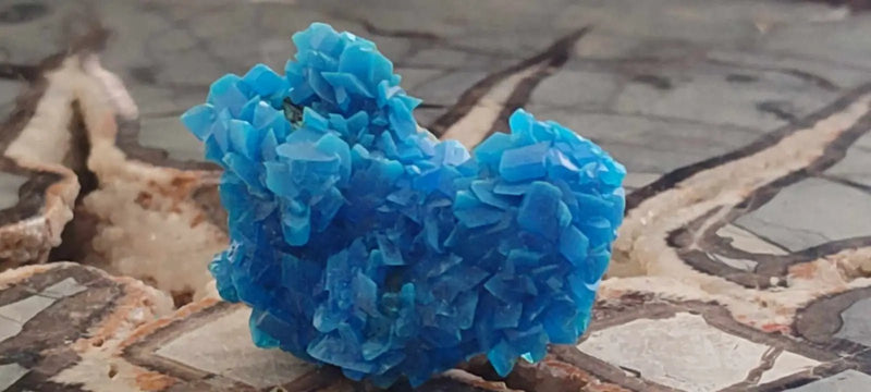 Load image into Gallery viewer, Chalcanthite de Pologne Grade A++++ Chalcanthite de Pologne
