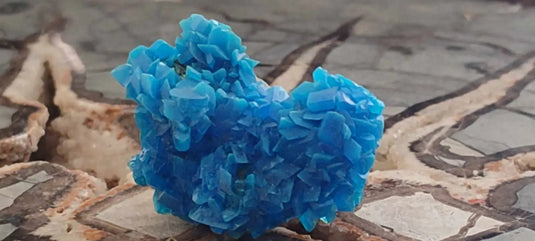 Chalcanthite de Pologne Grade A++++ Chalcanthite de Pologne